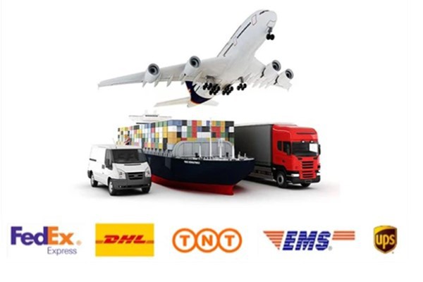 Transportation Transportation